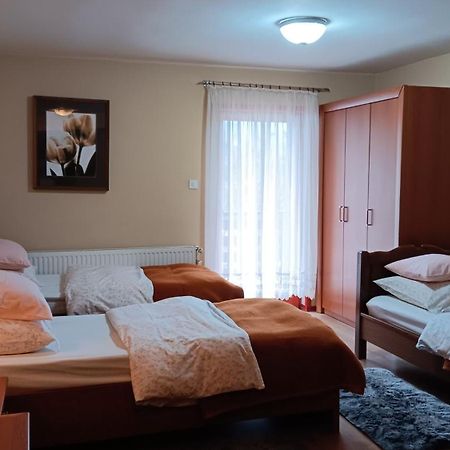 Apartment Medo Ravna Gora Exterior photo