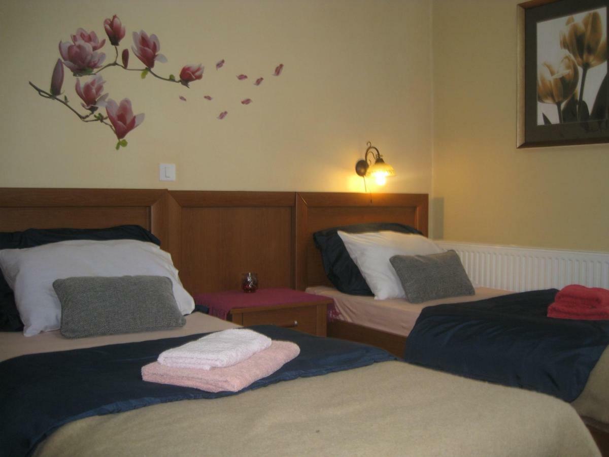 Apartment Medo Ravna Gora Exterior photo